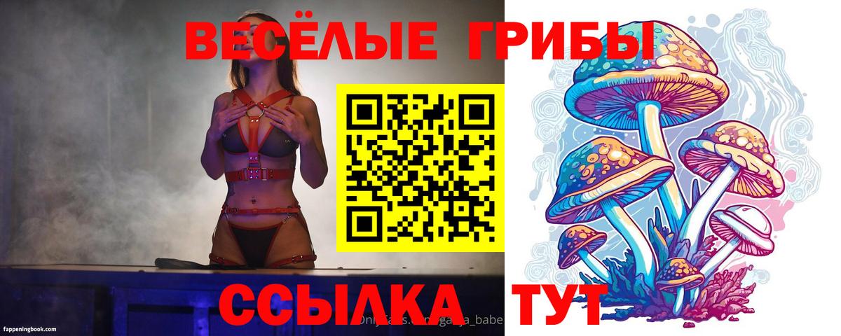 Псилоцибиновые грибы Psilocybe Котлас