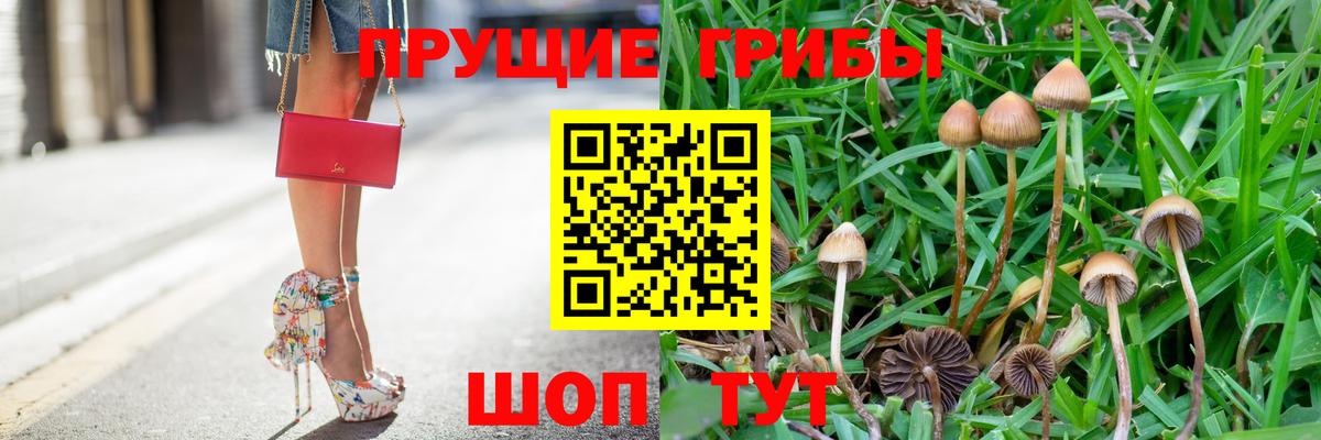 Галлюциногенные грибы Psilocybe  Вход с VPN  Котлас 