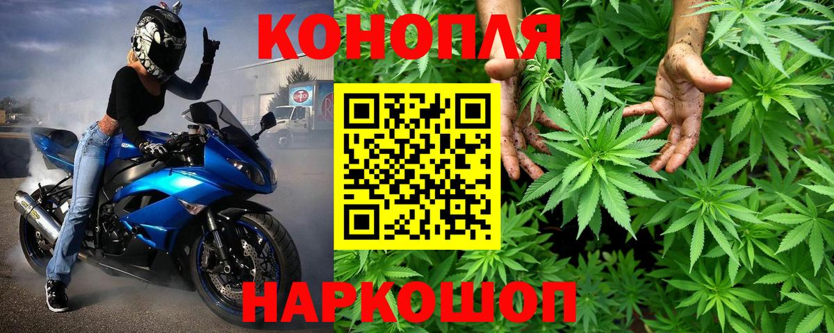 Котлас  Бошки марихуана конопля  Вход с VPN  МАРИХУАНА план  МАРИХУАНА конопля 